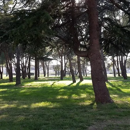 Susy Apartament